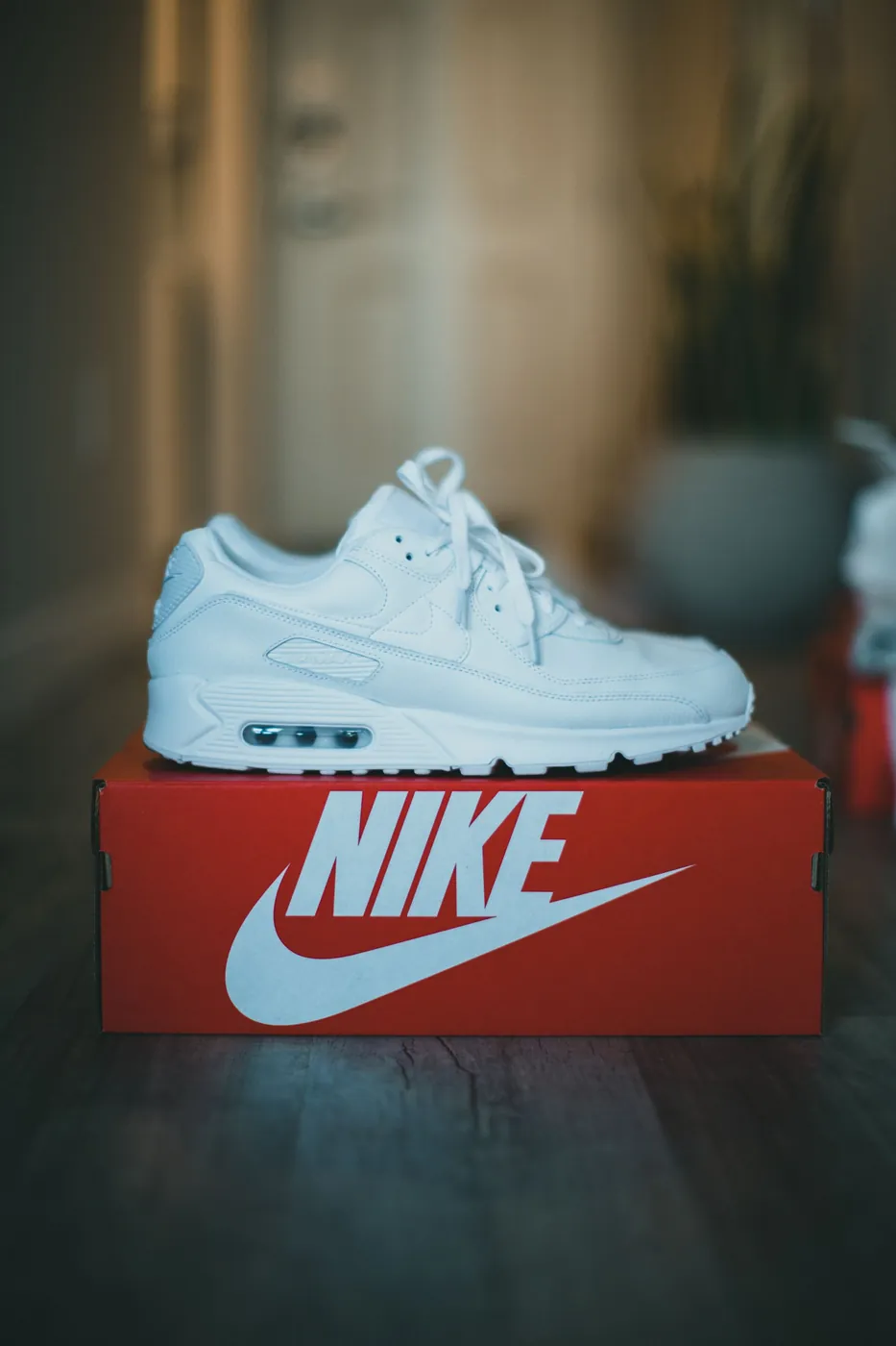 Nike Air Max 90, צילום אווירה