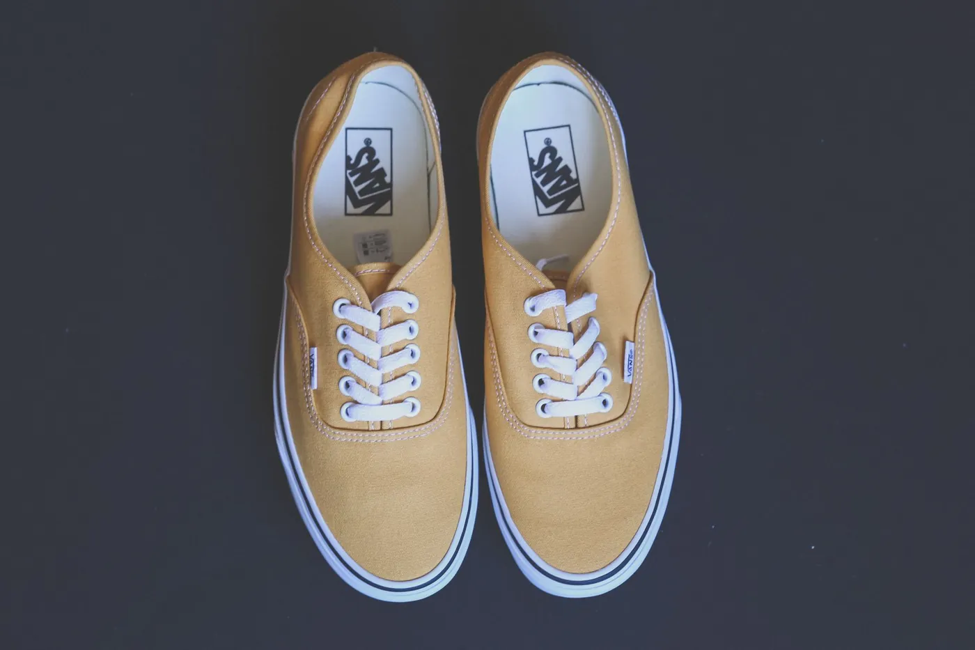 Vans Authentic, צילום אווירה
